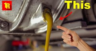 Differential fluid change in Fort Bend, Texas