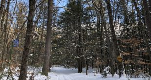 Coolant flush in Boscawen, New Hampshire