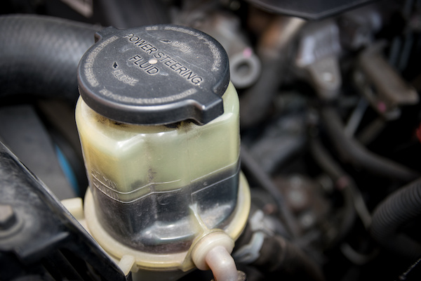 Power steering fluid flush in Morton, Dakota Utara
