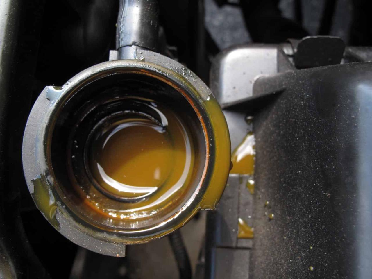 Coolant flush in Josephine, Oregon
