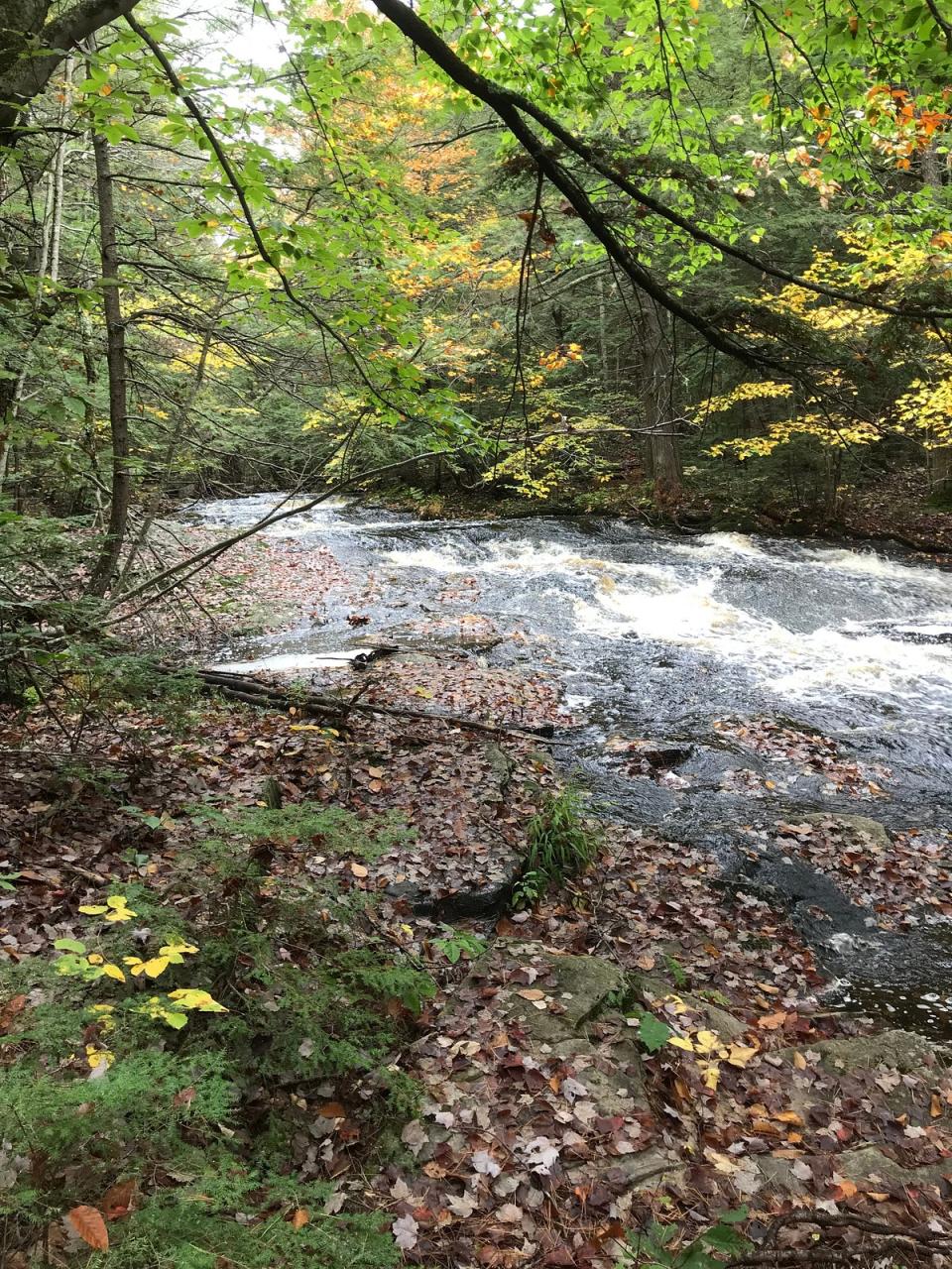 Car diagnostics in Sharon, New Hampshire
