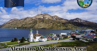 Automotive service in Aleutians West, Alaska