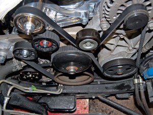 Serpentine belt replacement in Oregon, Missouri
